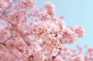 東京都の美しい絶景スポット！田園調布駅から多摩川台公園までの散策